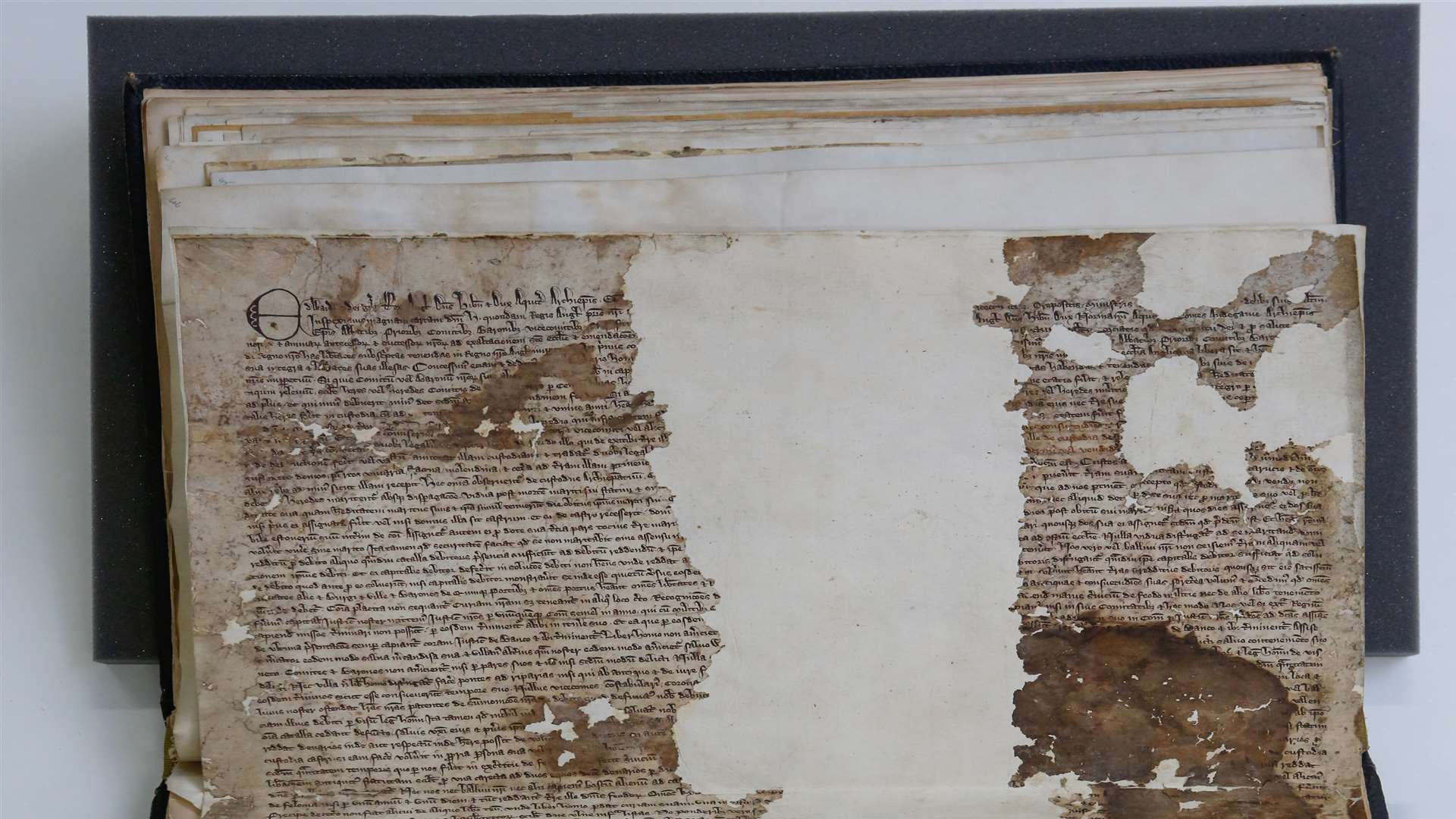 The Sandwich Magna Carta