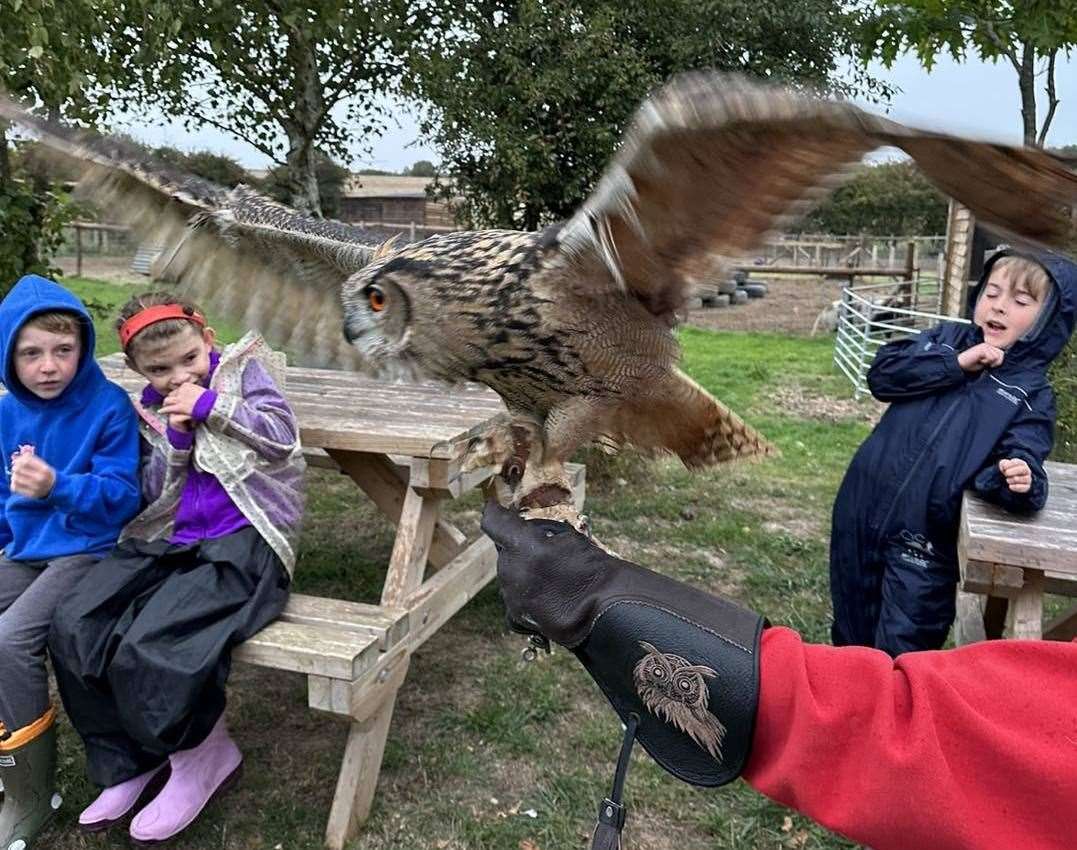 Youngsters introduced to an owl at Curly's Farm, Sheppey