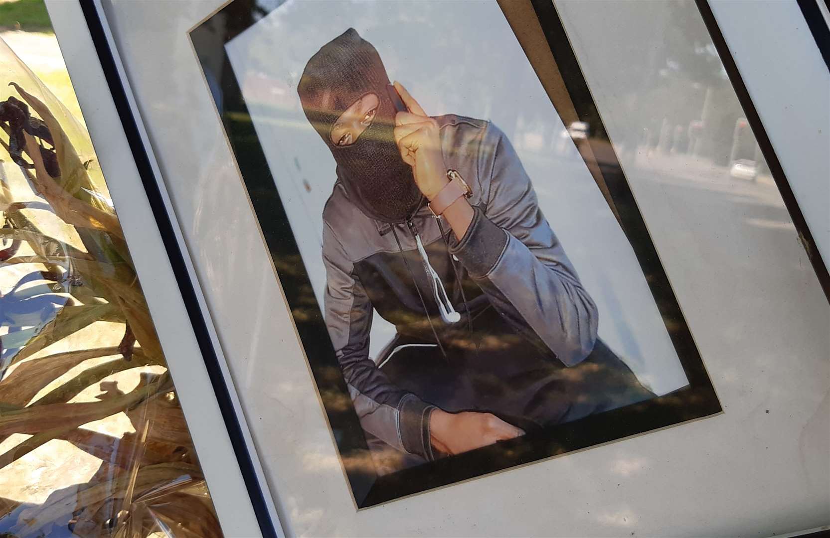 A photo of Jaydon MacFarlane attached to a tree of Brookfield Road