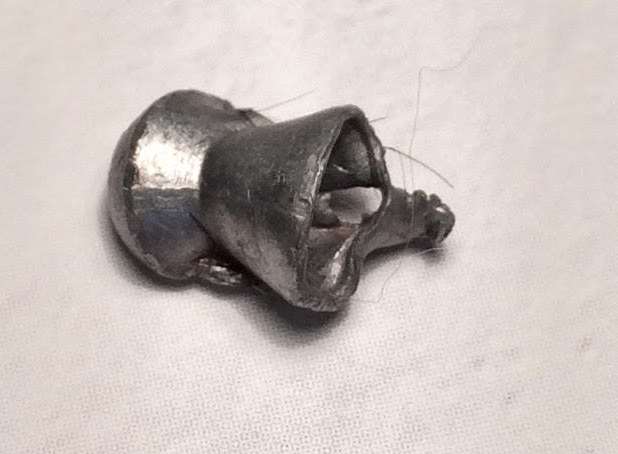 The metal pellet that was lodged in the cat's skull