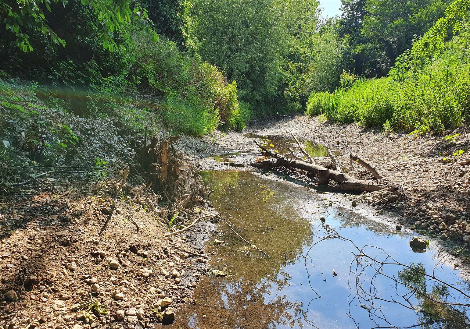 The River Darent restoration forms part of the council's £5m shake up to the Acacia Hall complex. Photo: South East Rivers Trust