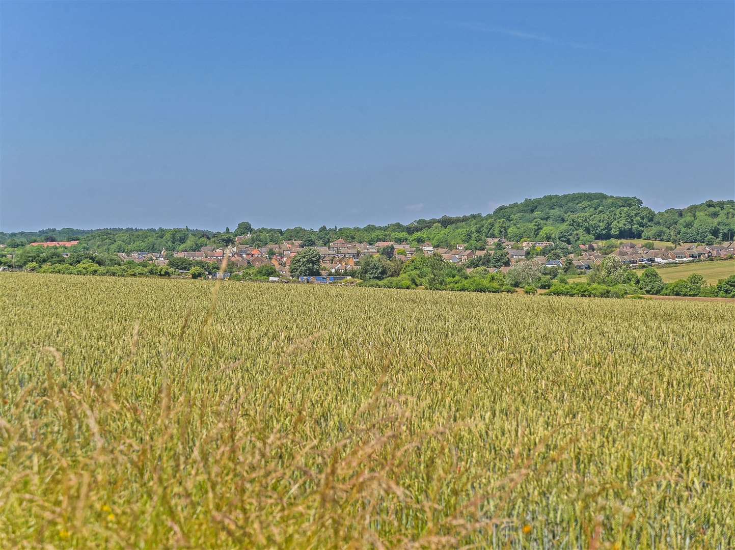 The land is listed for sale with an asking price of offers in excess of £3.175m. Photo: Hobbs Parker.