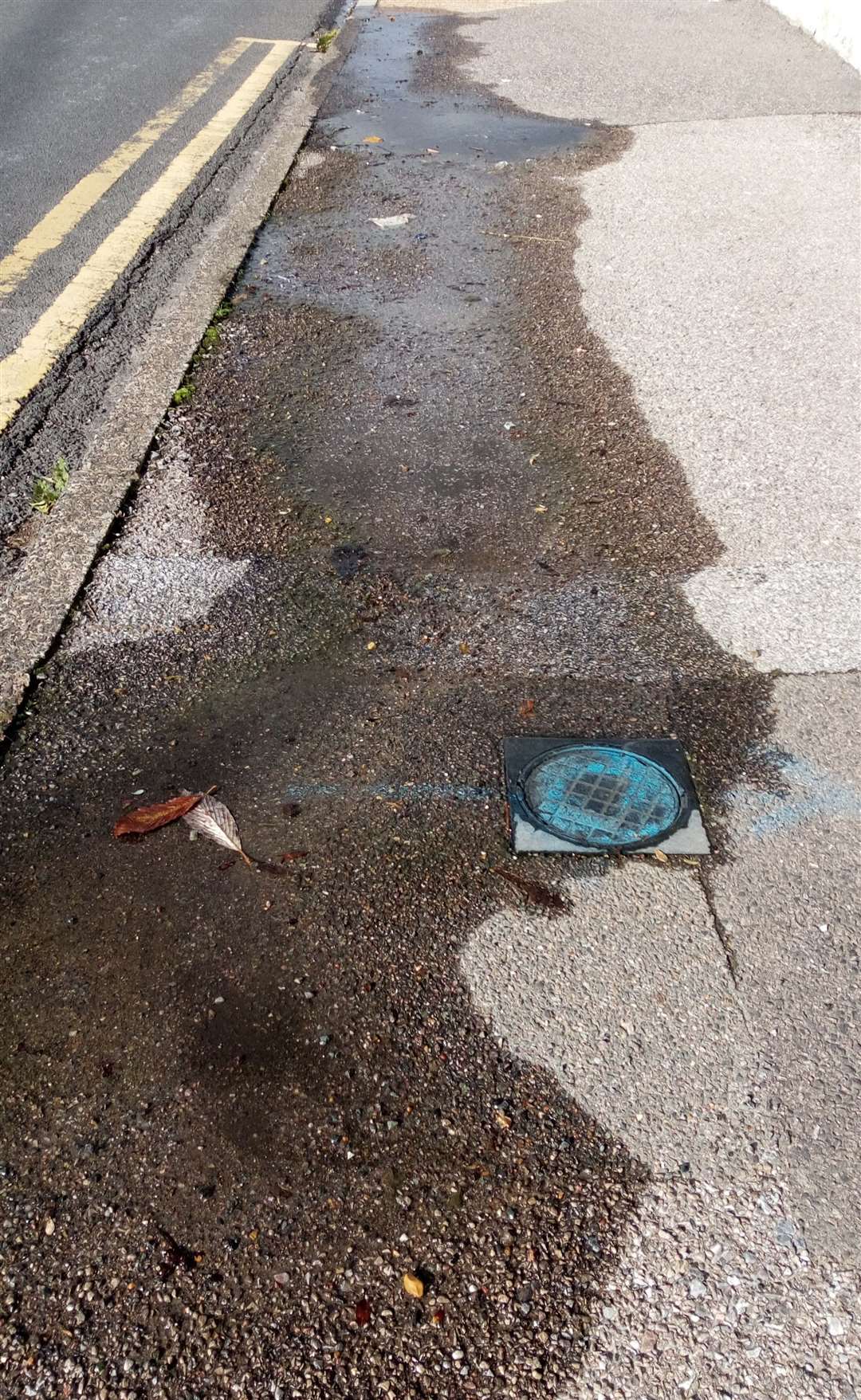 Water leaked from Paul Youden's water meter for five weeks before Southern Water fixed it. Pictures: Paul Youden
