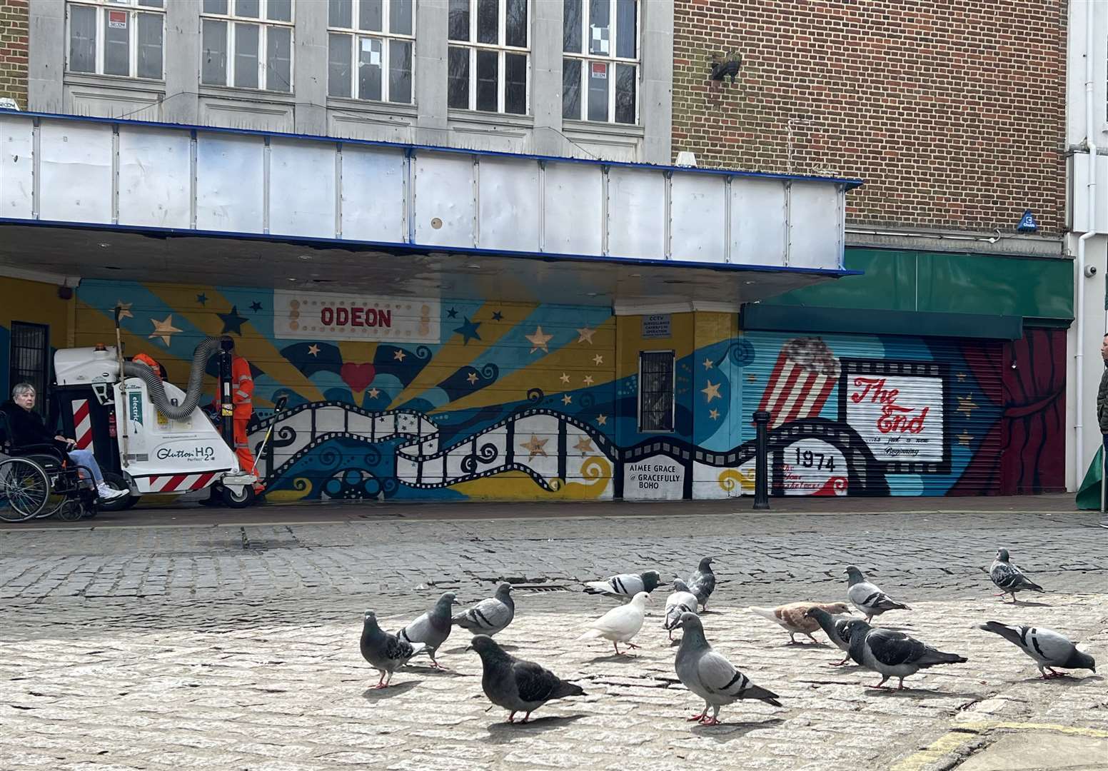 Pigeons in the Lower High Street on Tuesday afternoon. Picture: Barry Goodwin