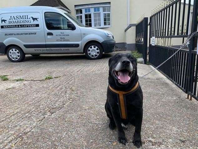 The Labrador was abandoned outside a kennel in Sittingbourne with a note. Picture: Swale council