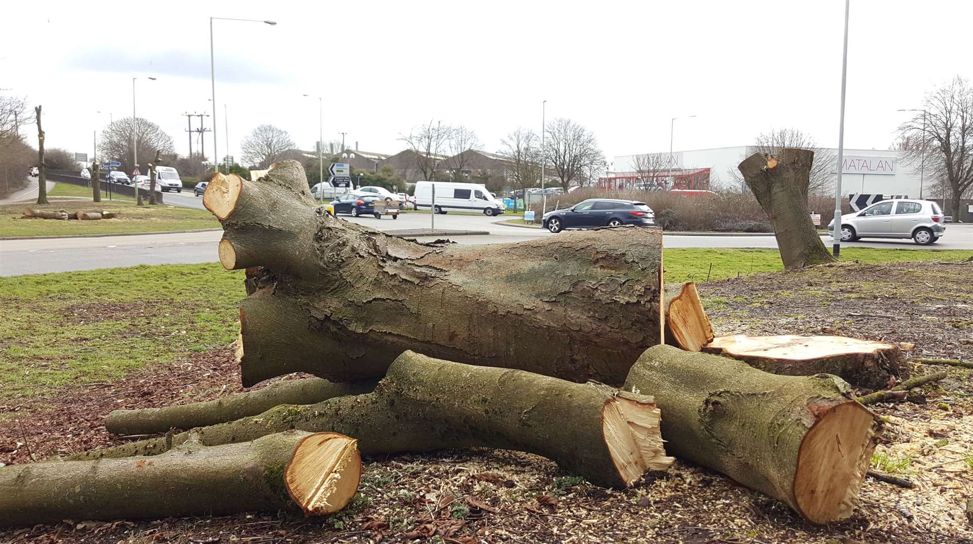 Trees were felled in 2018 but work on the dual carriageway is yet to begin