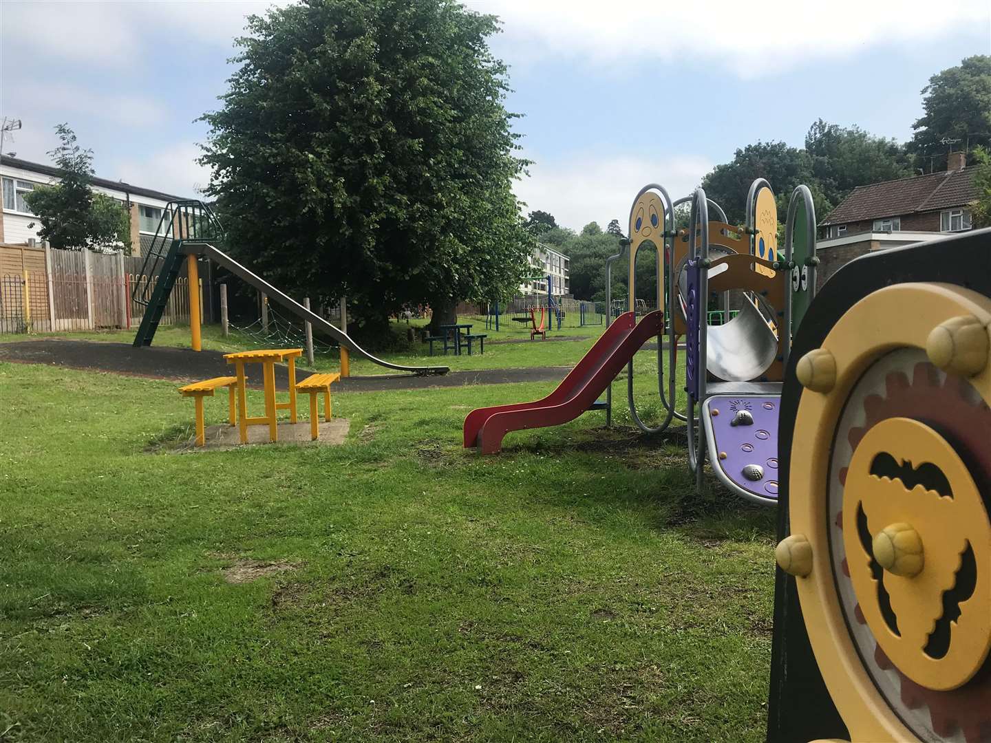 Ms Delgado is calling for action to prevent Suffolk Road play area becoming an anti-social behaviour hotspot (13116115)