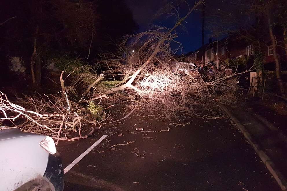 A tree blocking Walderslade Road in Chatham. Picture: Patrick Burgess.