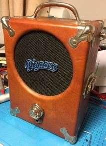 Pignose amplifier (8173488)