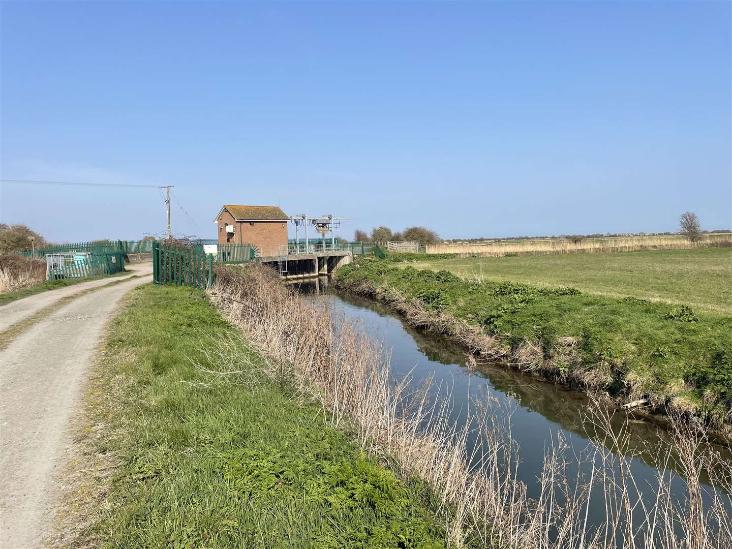 Alex Holland's body was found in water by Hacklinge pumping station