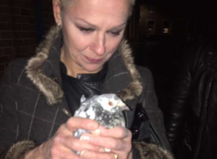 Linda Hicks with the rescued pigeon