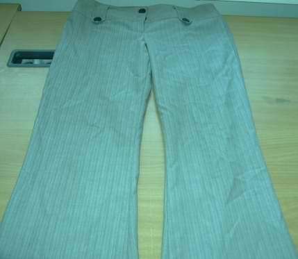 The pair of trousers