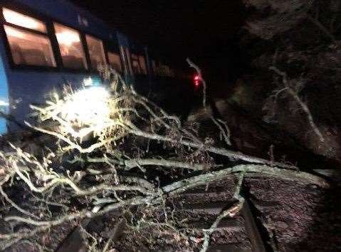 Network Rail crews were praised for working through the blustery night, clearing fallen trees such as this. Picture: Network Rail