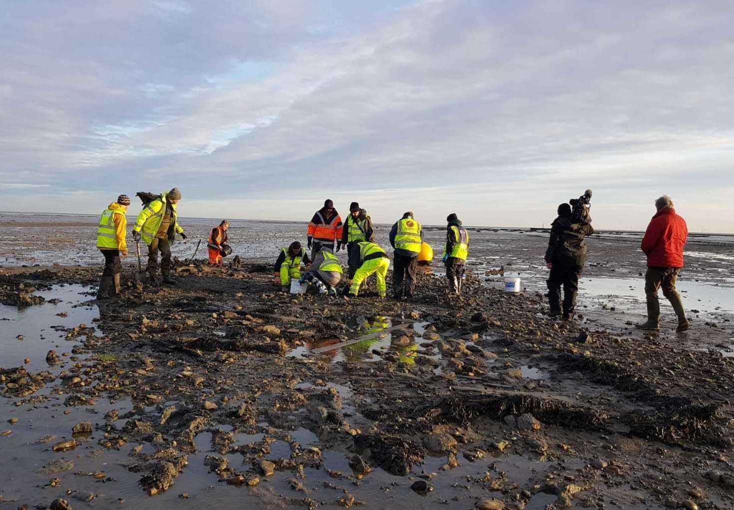 Archaeologists and volunteers worked around the tide times to excavate the ship. Image: Wessex Archaeolog