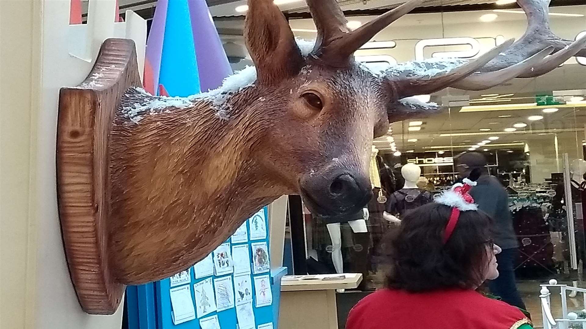 The reindeer was removed following a shopper's complaint