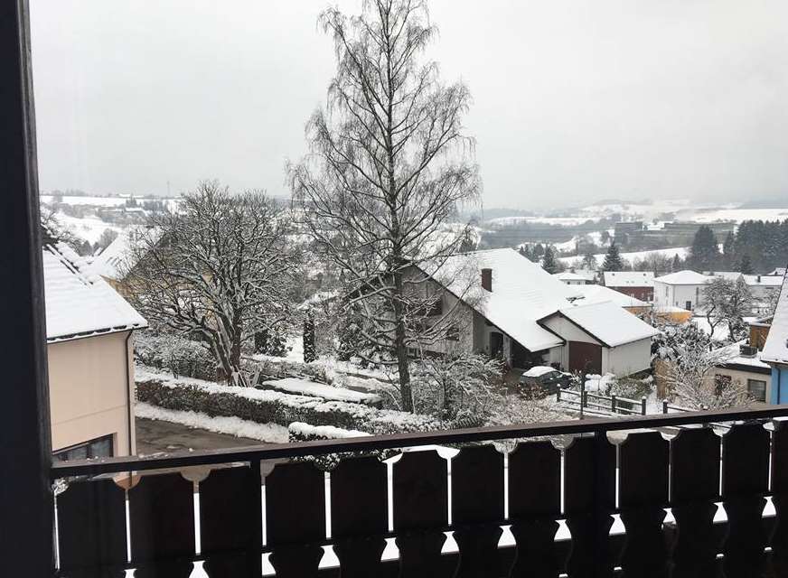 The view from a medical centre in Germany where Jayden is being treated