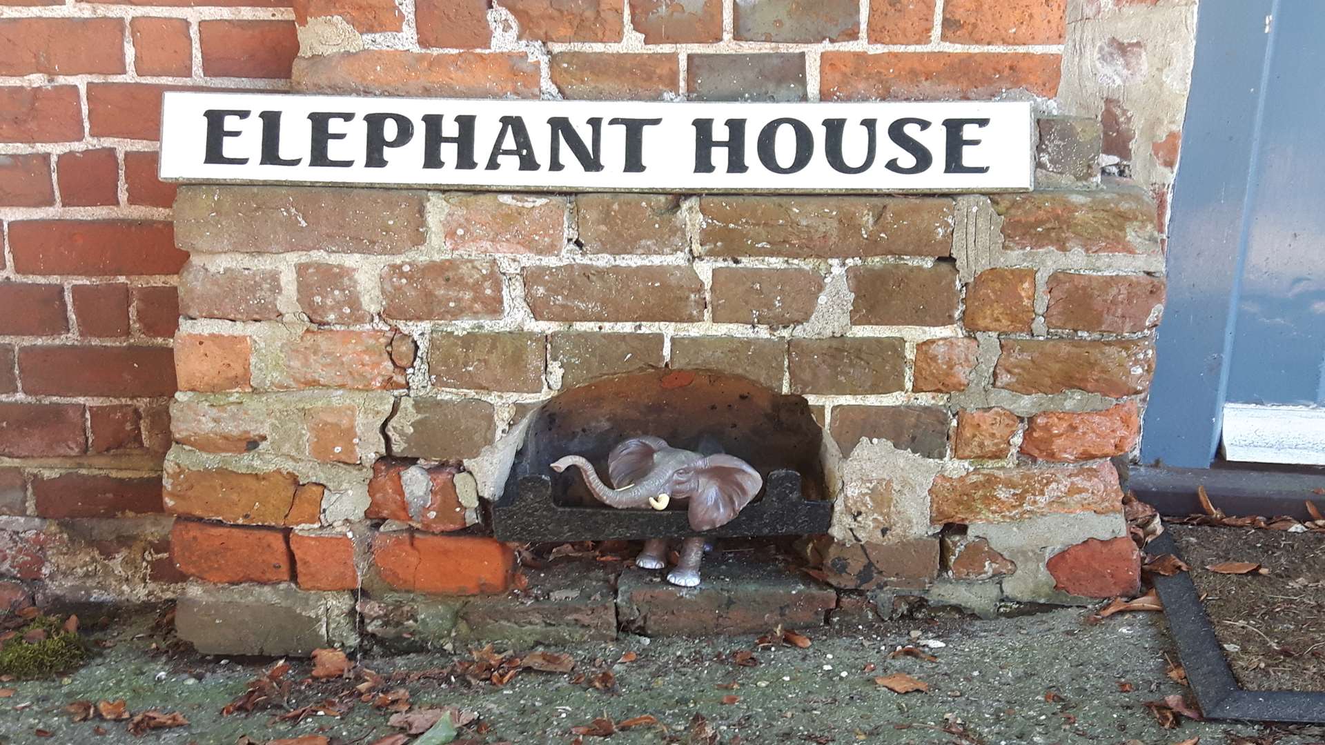Outside Elephant House.