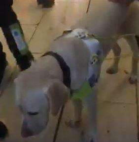 Bluewater have apologised after a security guard asked a man with a guide dog to leave the store. Video: Pauline Letchford