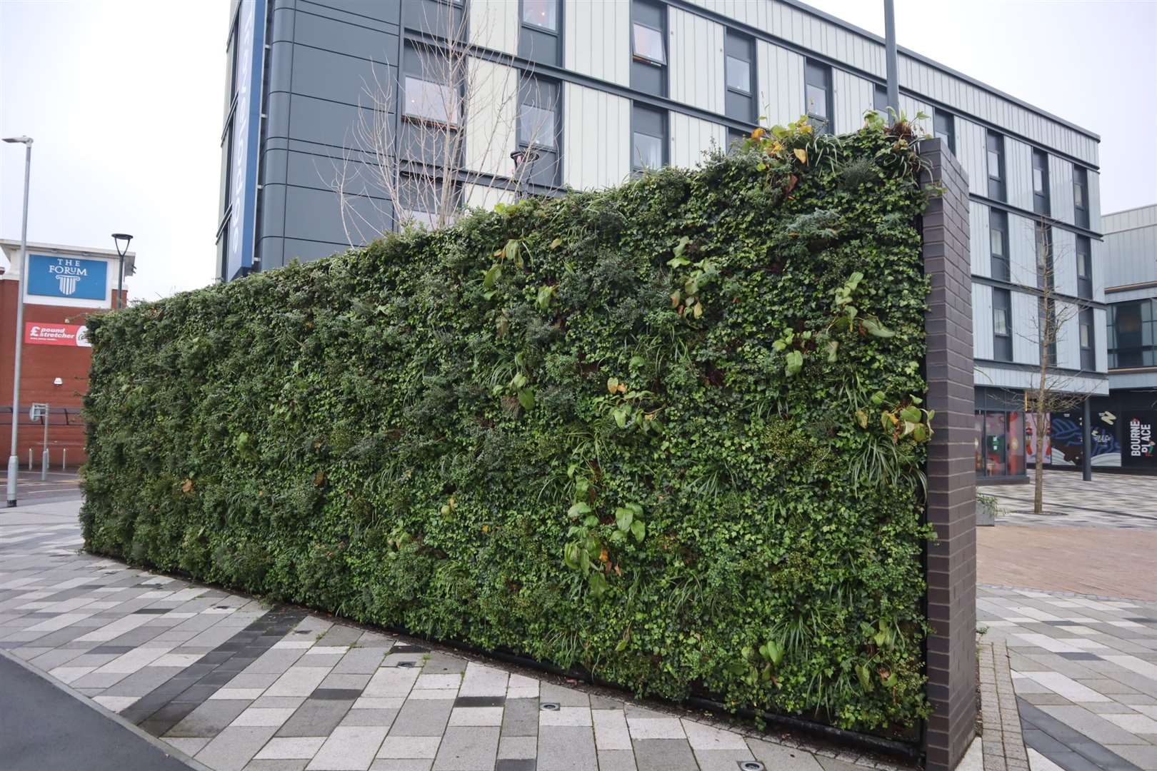 The 'growing wall' in front of Sittingbourne's Travelodge hotel. There would be more greenery as part of Swale council's Sittingbourne town centre revival plan
