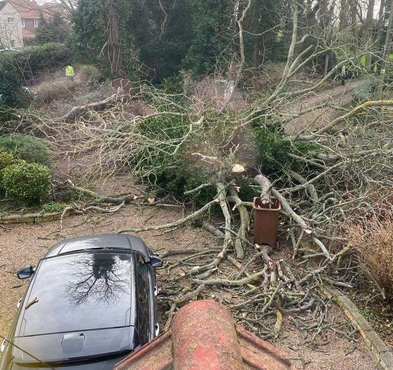 A horse chestnut came crashing down during Storm Isha in Vicarage Lane, Upper Stoke. Picture: Gary Jackman