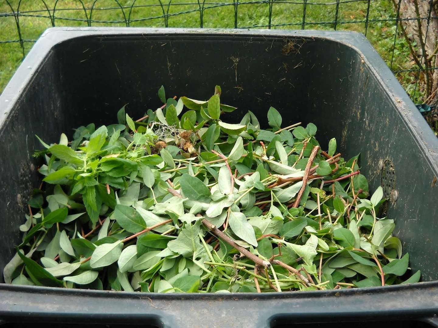 The garden waste collection service was suspended in July