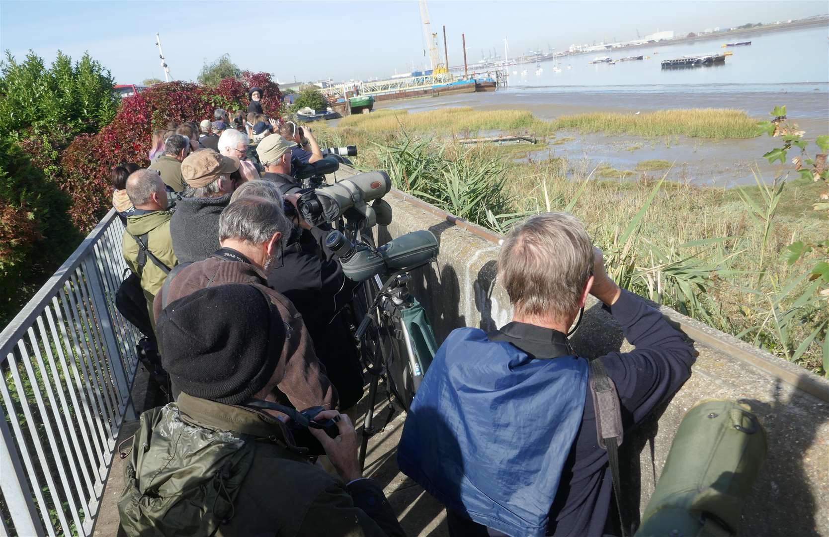 Photographers flocked to see Benny by the riverside. Picture: Fraser Gray (4491498)