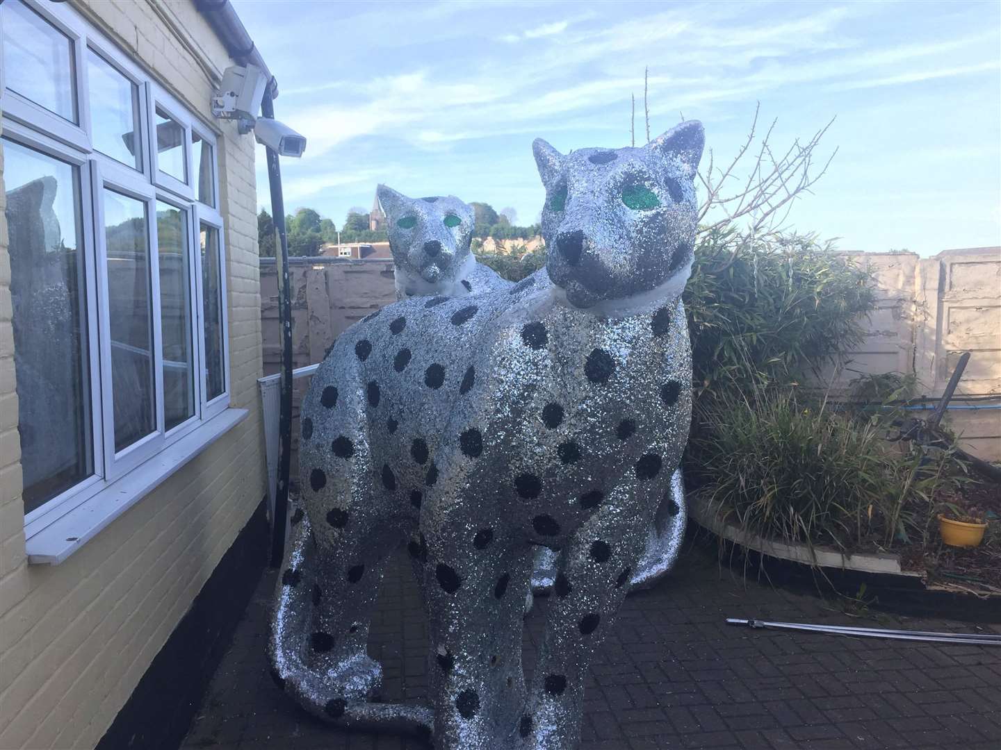 The Riverside Tavern homes two big sparkly cats