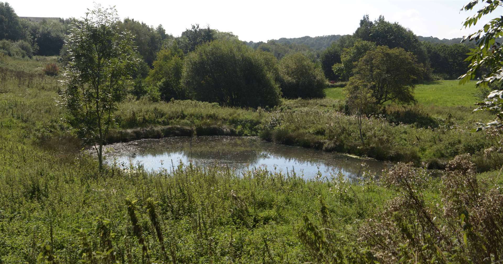 One of the existing lakes on the site
