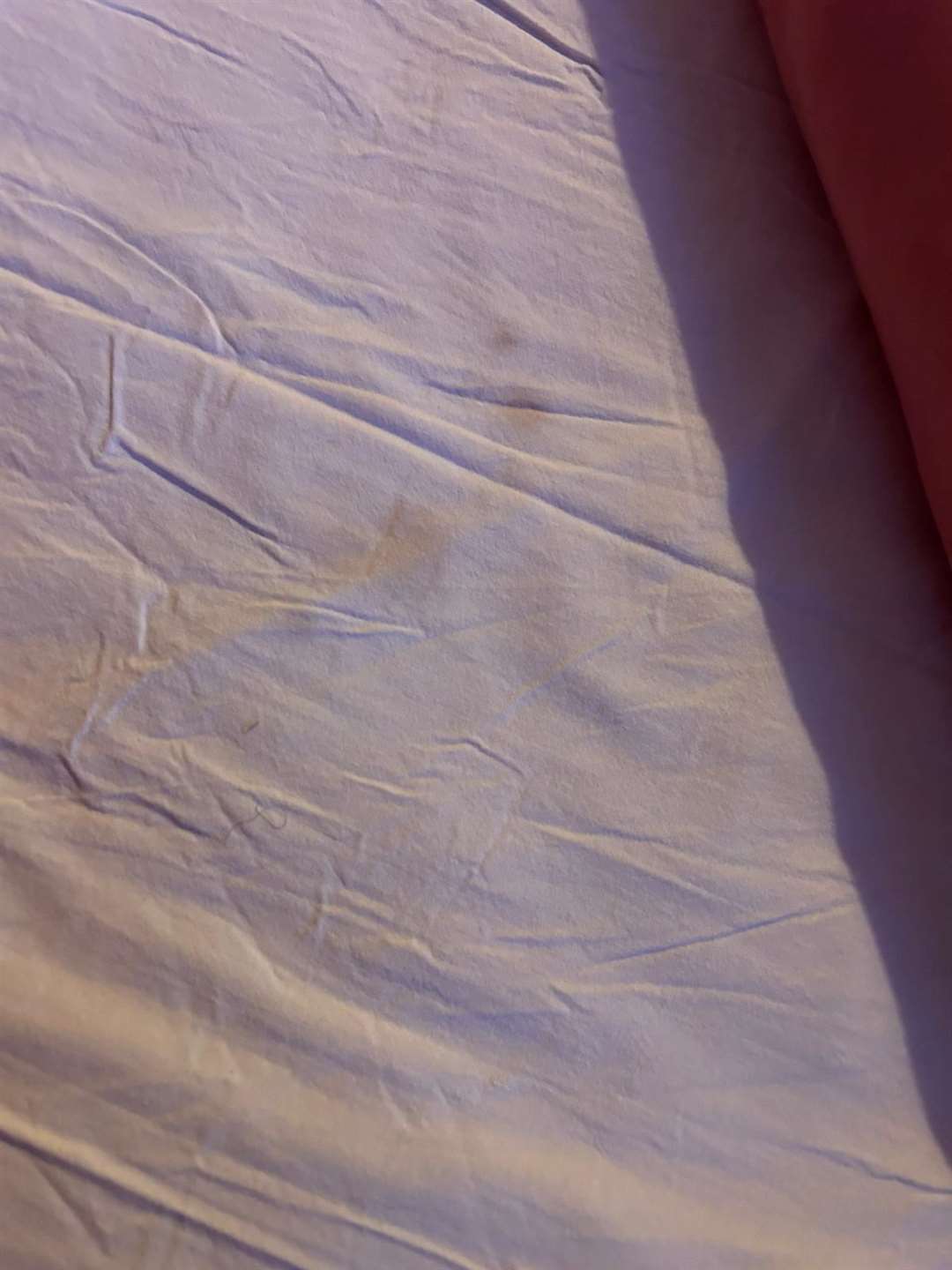 The bedsheets looked as though they could do with a wash