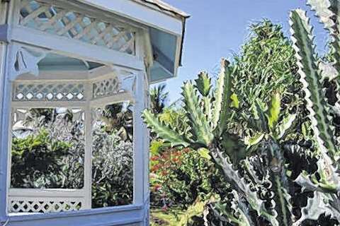 Key West Gardening Club by Lynne Bentley-Kemp