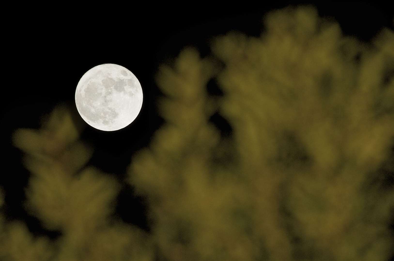 A spectacular full moon could might dampen meteor displays this August. Picture: Andy Payton.