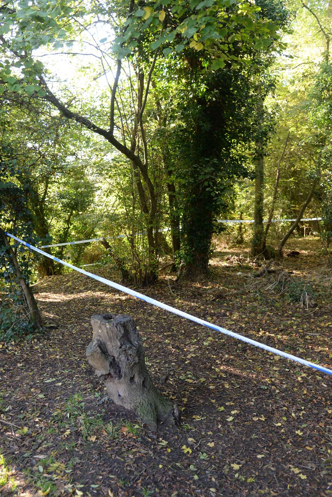 Police have cordoned off an area of woodland behind Bazes Shaw