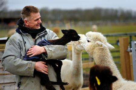 Nero, the baby Alpaca on the Farm with owner Andy Brown and the rest of hs family.
