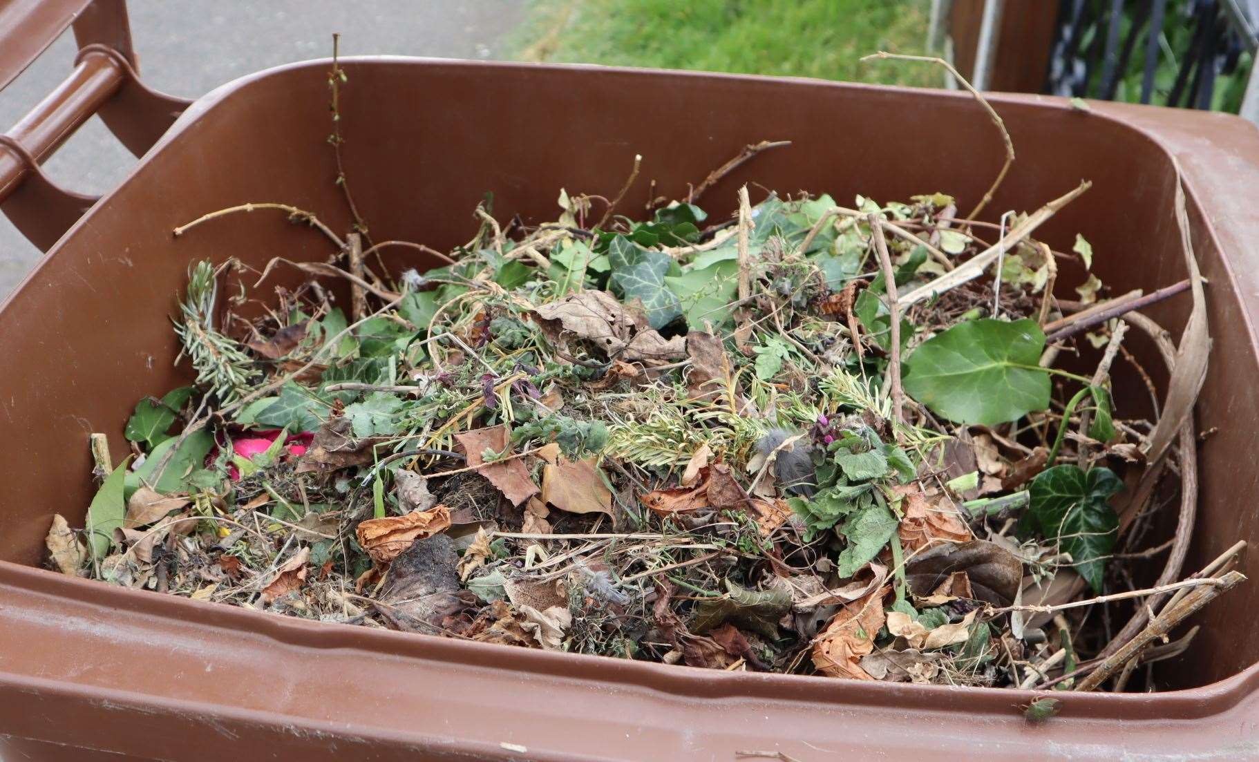 Brown bin collections for garden waste have been suspended in Maidstone this week