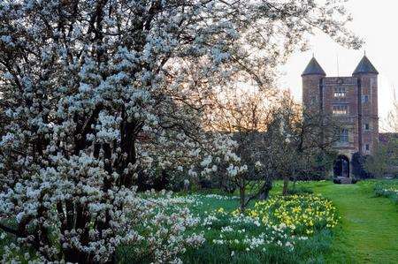 The orchard at Sissinghurst on a spring morning