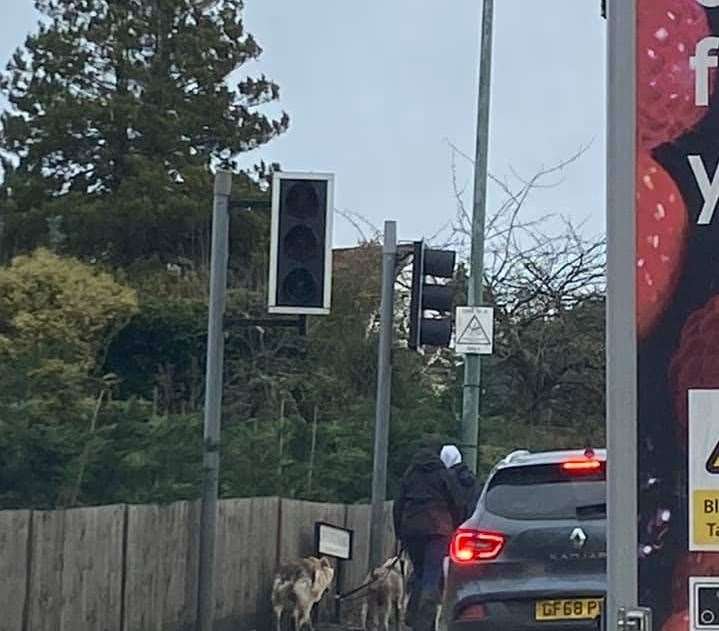 Traffic lights out at Willington Street, A20 Ashford Road junction. Picture: Sacha Crouch (24678571)