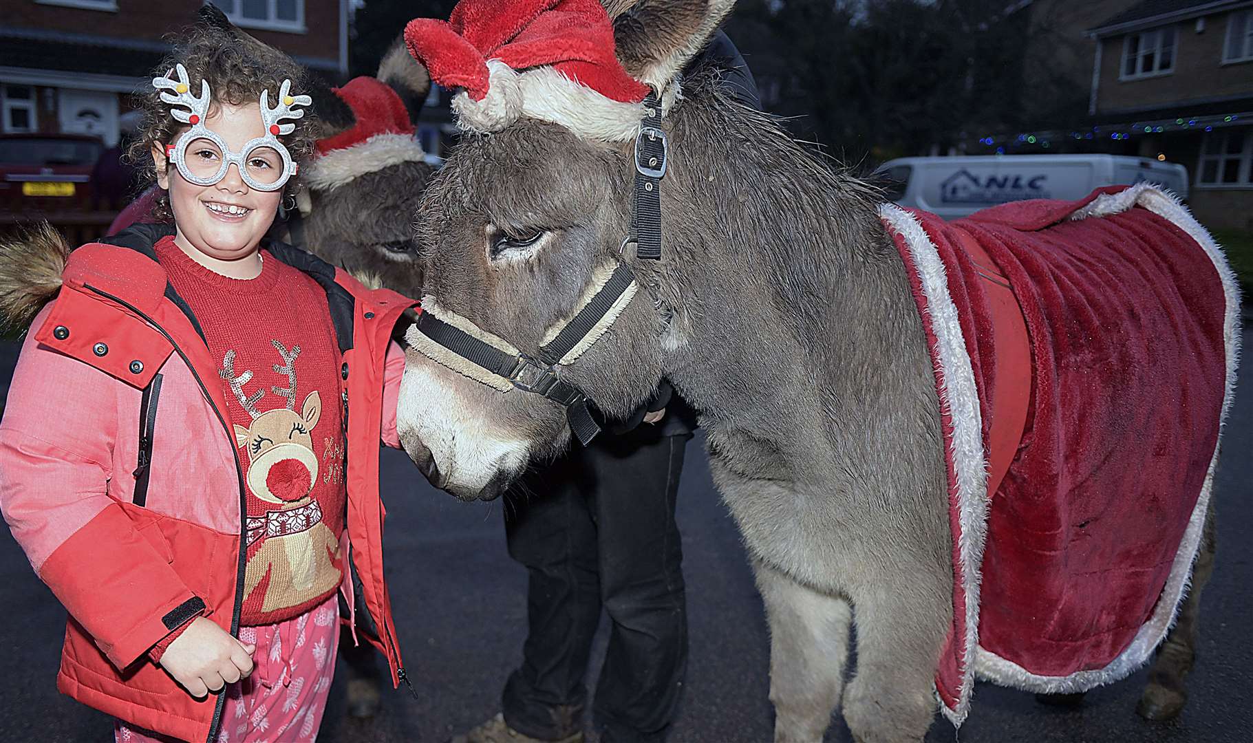Seven year-old Naomi with one of Santa's donkeys. Picture: Barry Goodwin