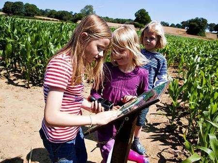 The maize maze at Penshurst Place is in the shape of a crown. Picture: Craig Prentis Photography