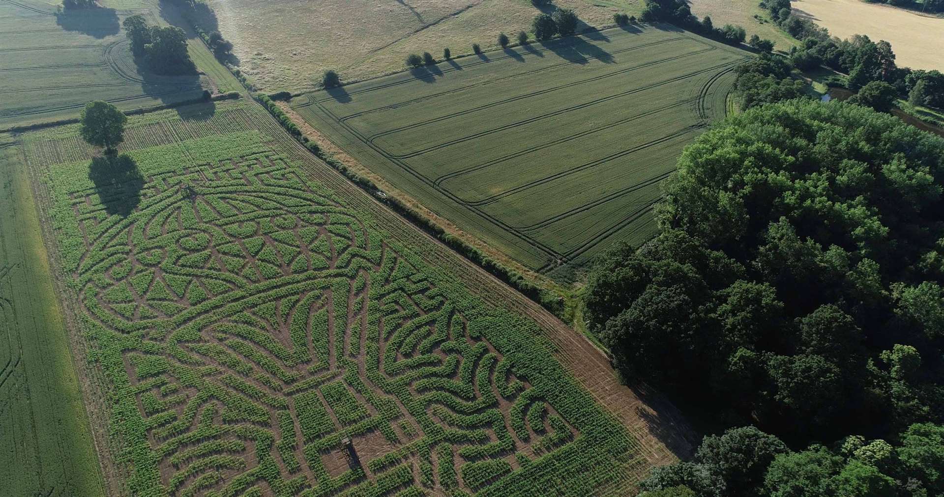 The hot air balloon design of the Maize Maze at Penshurst Place Picture: ©Limewood Productions