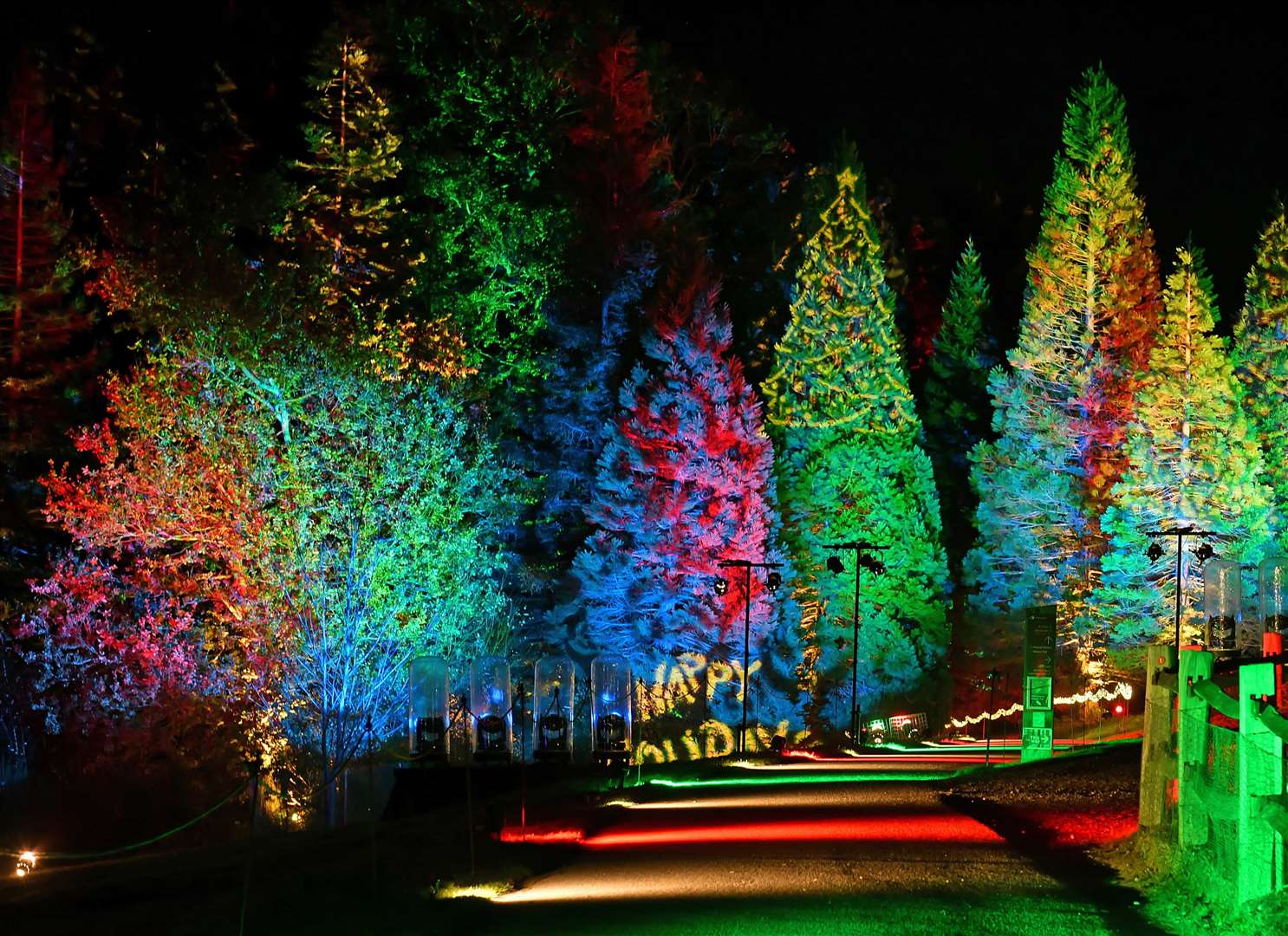 Christmas at Bedgebury light trail returns for 2022. Picture: Richard Haughton for Sony Music