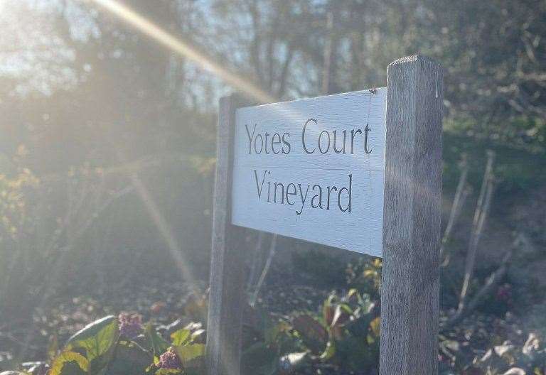 Yotes Court Vineyard flies high with Virgin Atlantic