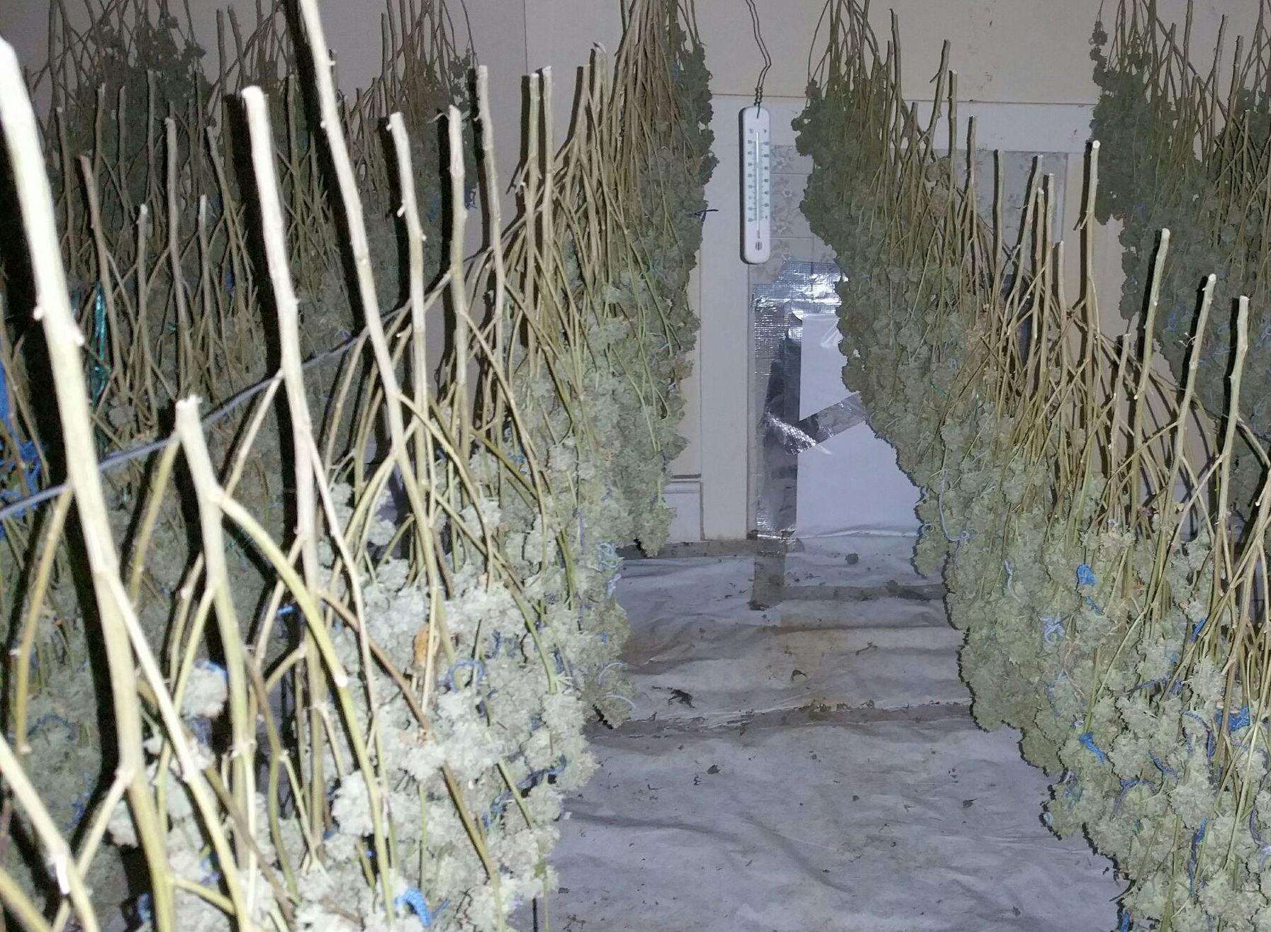 Police raided a house in Cliff Street, Ramsgate and found a cannabis factory with an estimated value of £1m. Picture: Kent Police
