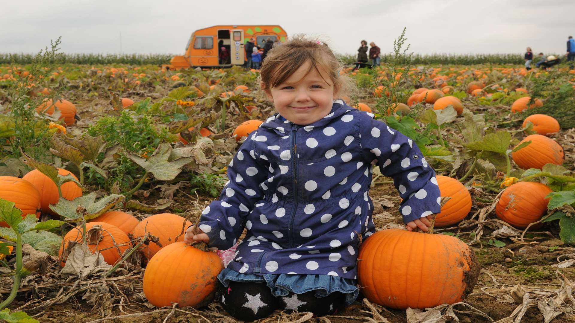 Aoife Bold, 4, with pumpkins at Beluncle Farm, Stoke Road, Hoo.