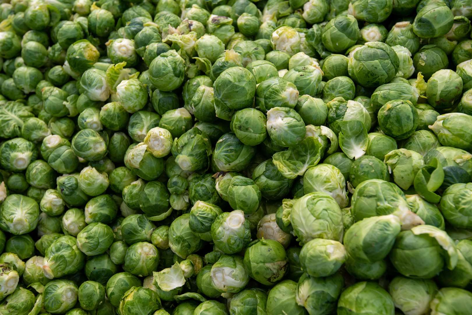 Brussels sprouts (Joe Giddens/PA)
