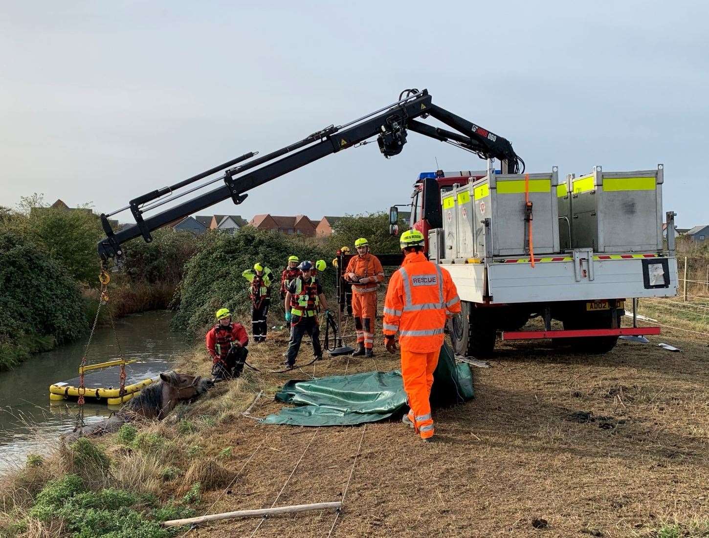 Crews used mud paths and a crane to lift Waffle the horse to safety. Photo: KFRS
