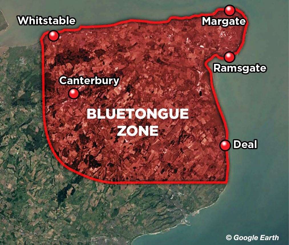 The bluetongue control zone in Kent