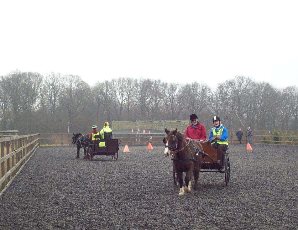 Carriage driving practice in the outdoor arena that is subject to the elements