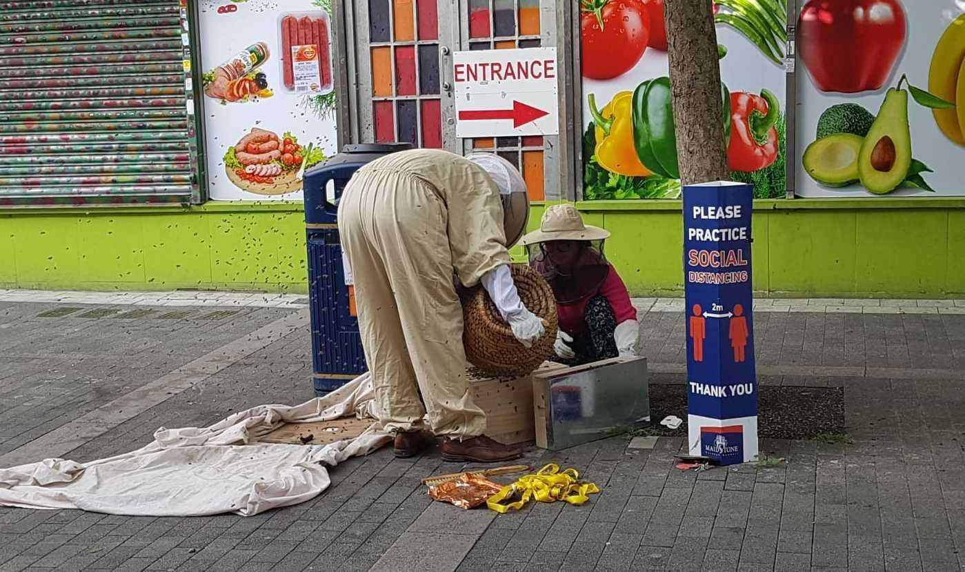 Beekeepers work to move the bees away from the bin at the bottem of Gabriel's Hill, Maidstone