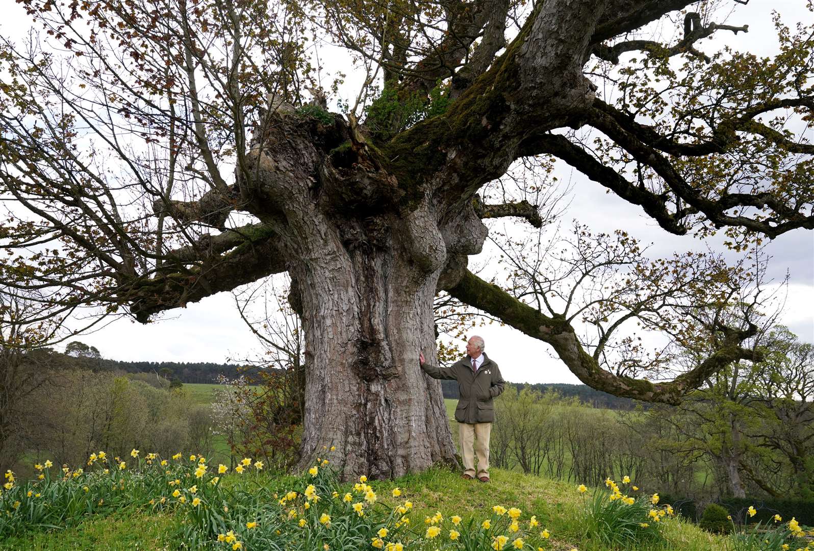 The then Prince of Wales stands under the ‘Old Sycamore’ at Dumfries House, one of the 70 ancient trees dedicated to the Queen (Andrew Milligan/PA)