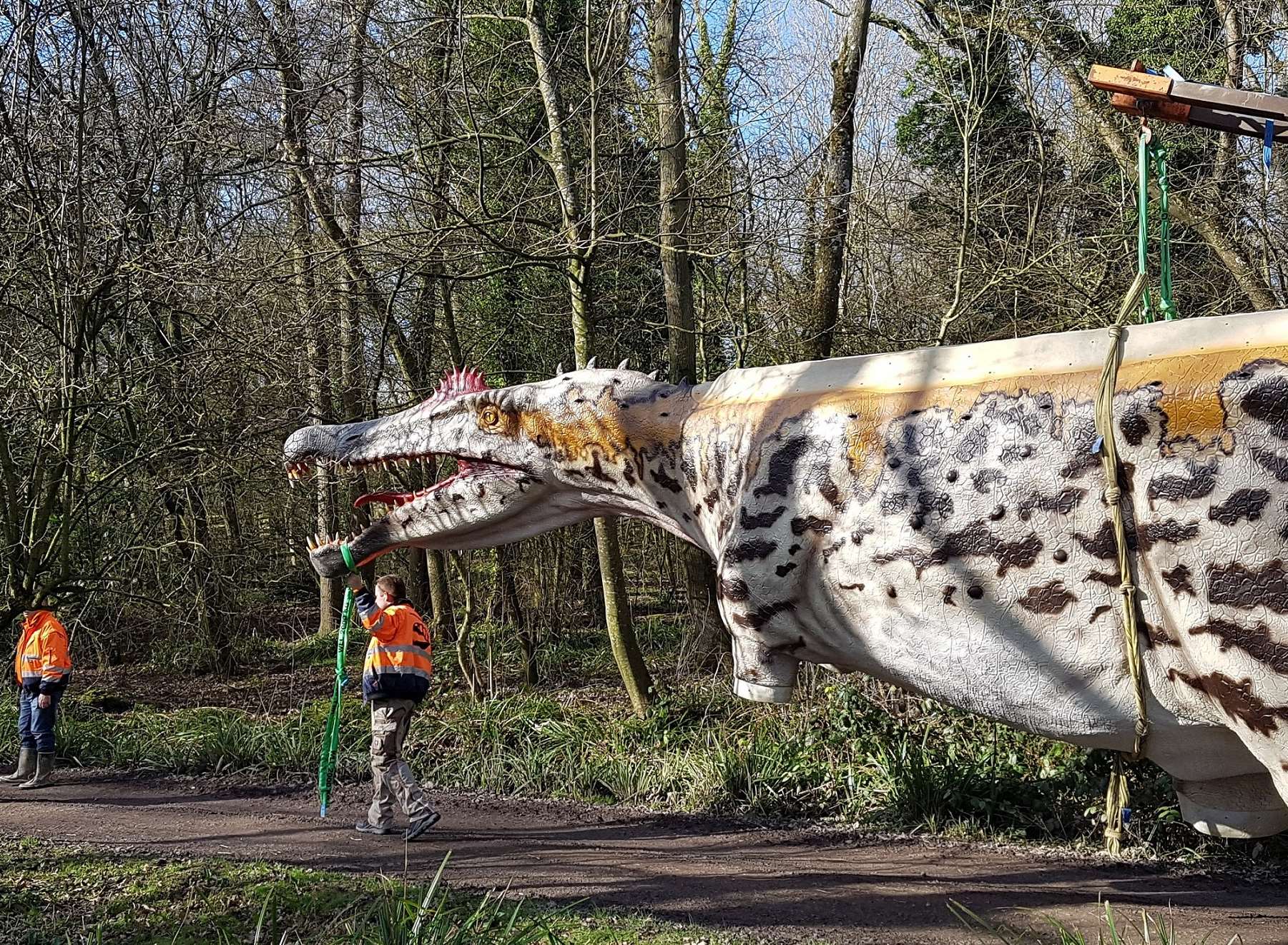 The Spinosaurus was accompanied into the forest.